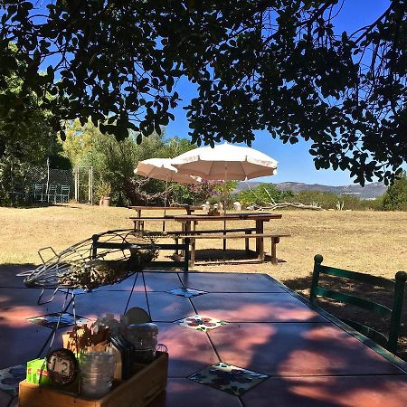 Shepherd'S Tree Backpackers Knysna Luaran gambar
