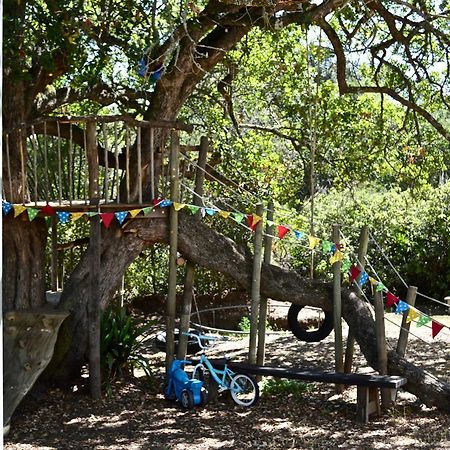 Shepherd'S Tree Backpackers Knysna Luaran gambar