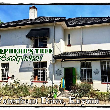 Shepherd'S Tree Backpackers Knysna Luaran gambar