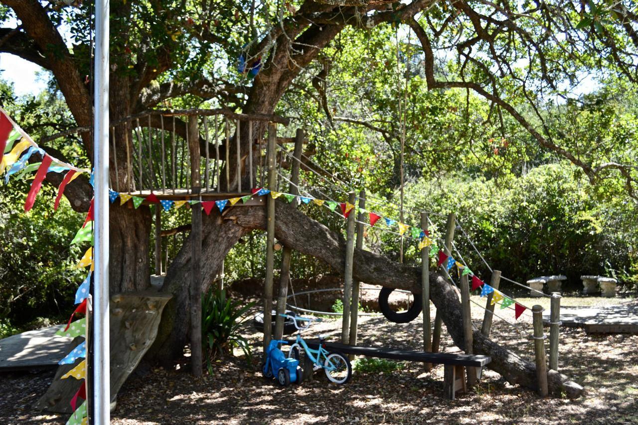 Shepherd'S Tree Backpackers Knysna Luaran gambar