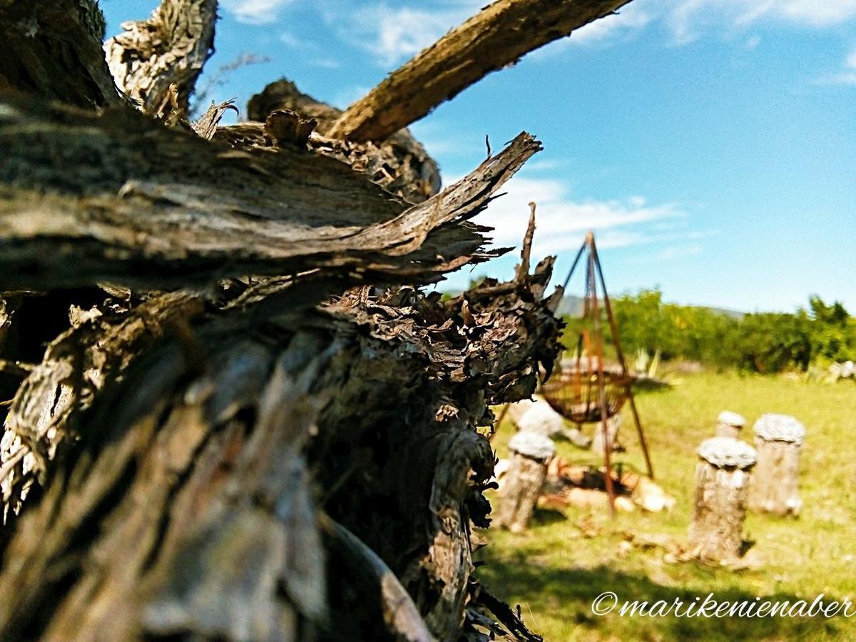 Shepherd'S Tree Backpackers Knysna Luaran gambar