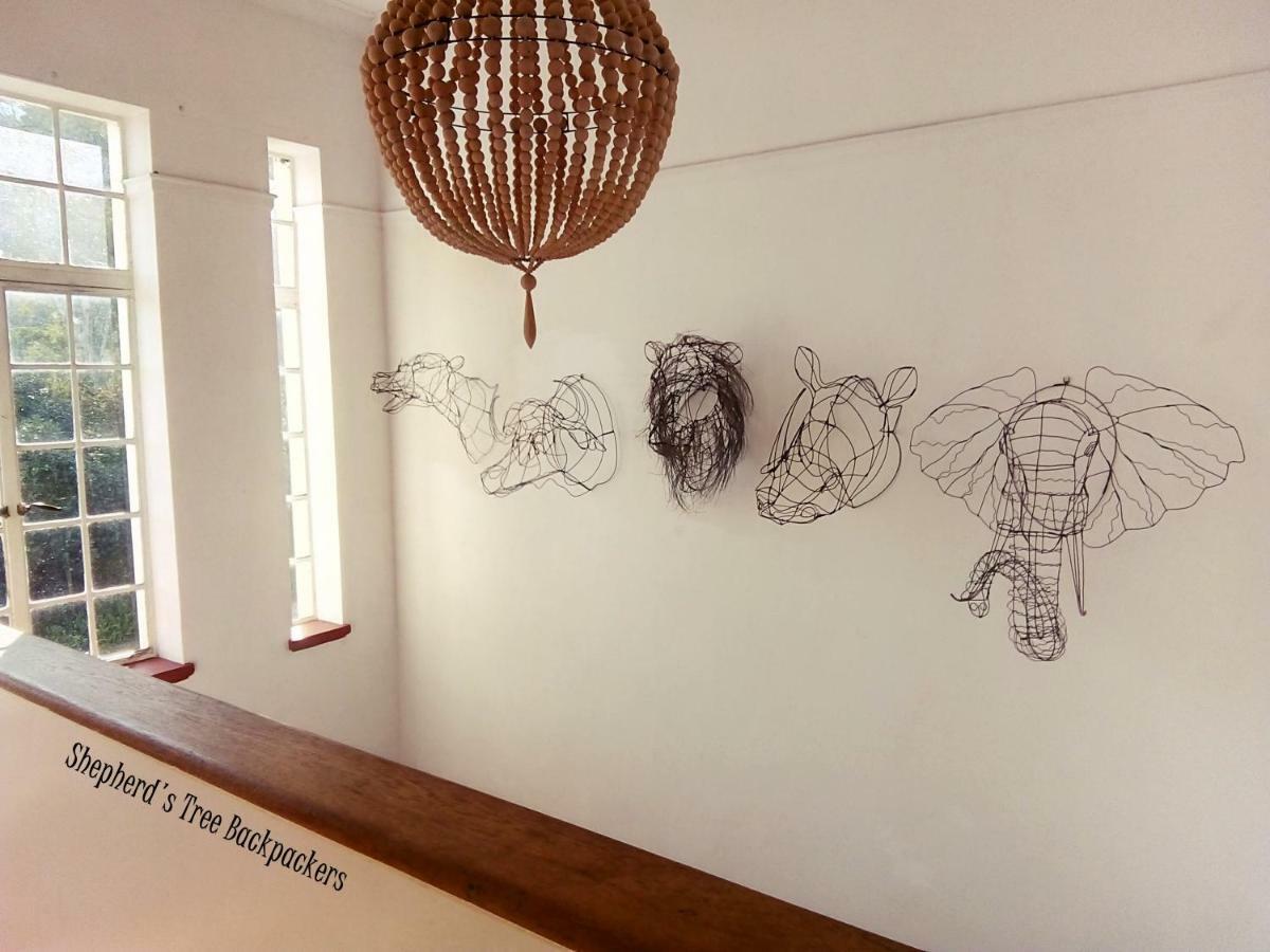 Shepherd'S Tree Backpackers Knysna Luaran gambar