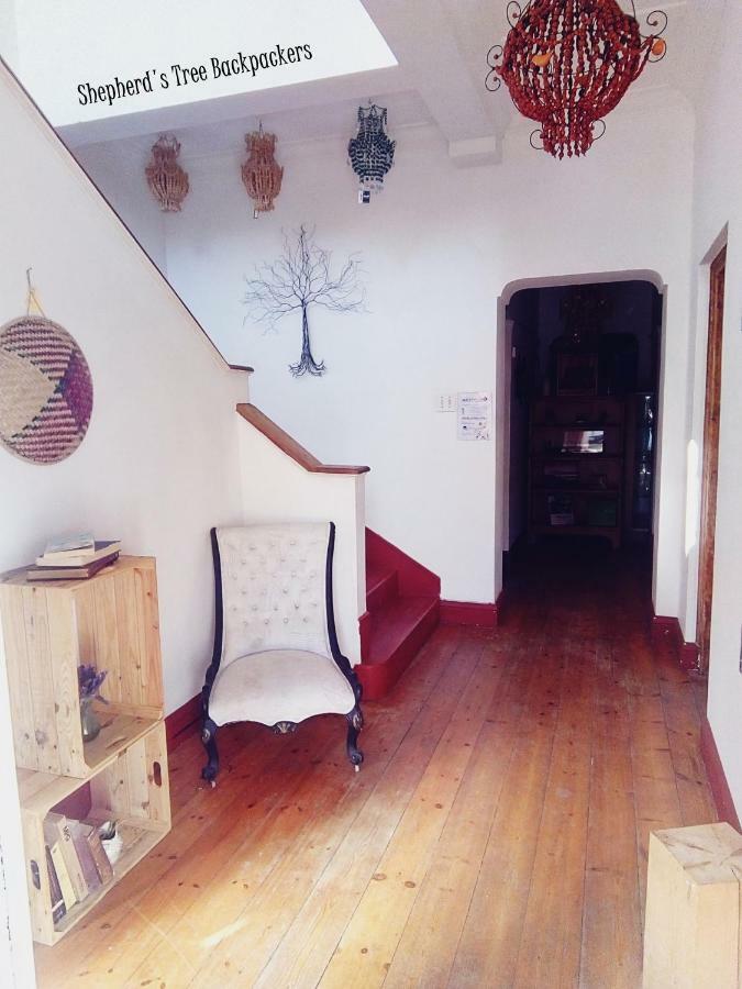 Shepherd'S Tree Backpackers Knysna Luaran gambar