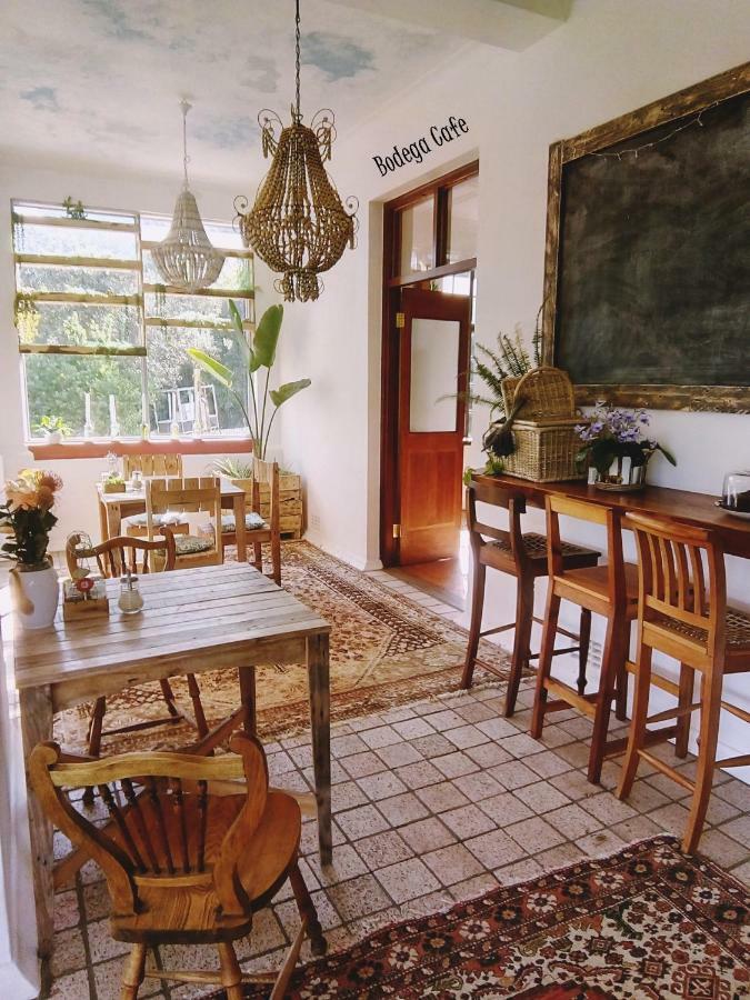 Shepherd'S Tree Backpackers Knysna Luaran gambar